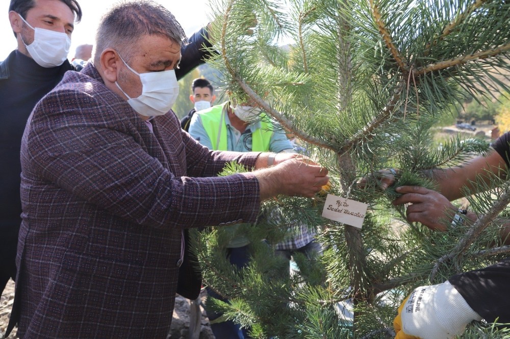 Palandöken Belediyesi hayatını kaybeden sağlık çalışanları adına ağaç dikti