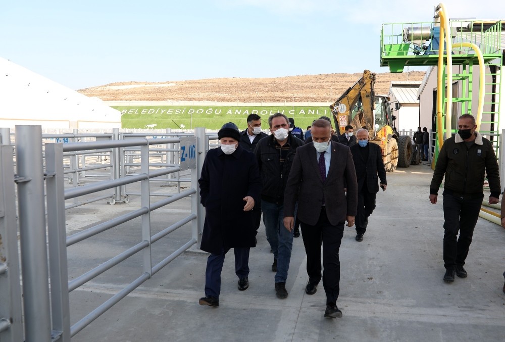 Başkan Sekmen: “Erzurum, hayvancılık ve tarımda da marka bir kent oldu”
