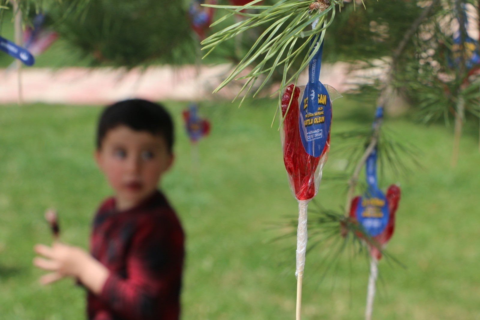Çocuklara ağaçta şeker sürprizi